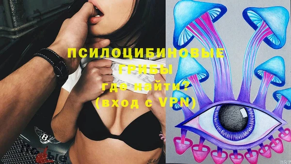 молекула духа Абинск