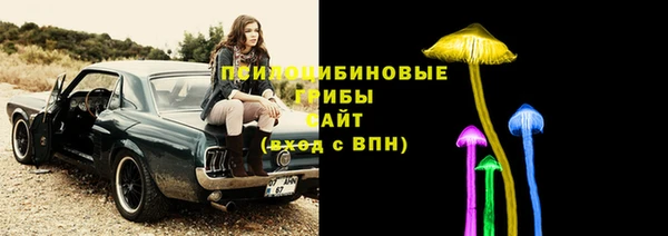 спиды Алексеевка