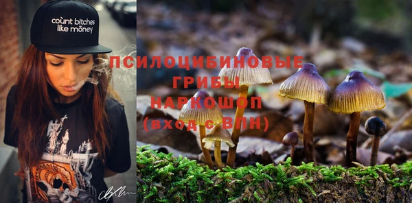 спиды Алексеевка