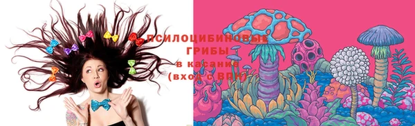 бошки Абаза